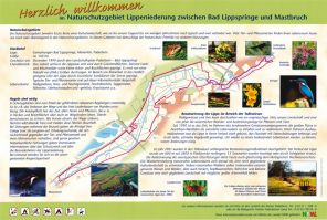 Informationstafel zum Naturschutzgebiet Lippeniederung (Foto: Kreis Paderborn - Umweltamt)